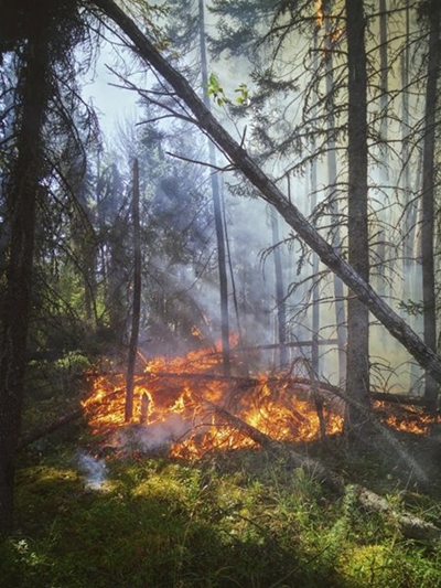 Report fire and smoke on sight