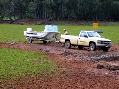 Kariba weed found in Garden Route Dam