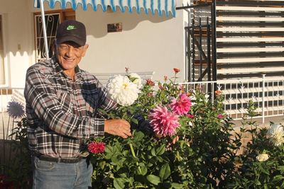 Oudtshoorn se dahliakoning trots op sy blomme