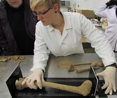 From crime scene to conviction: Forensic anthropologist bares the bones