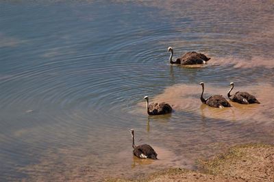 SA’s groundwater critical for a secure water future