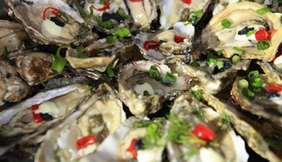 New format for Oyster Festival
