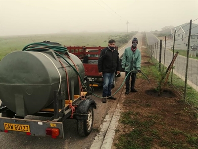 Bome verfraai Vleesbaai