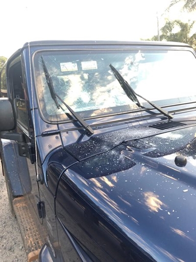 Alleged north road rage video goes viral