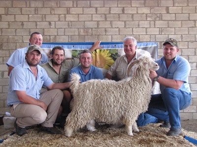 Angora ramveiling-seisoen open