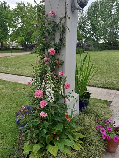 George Open Gardens this weekend