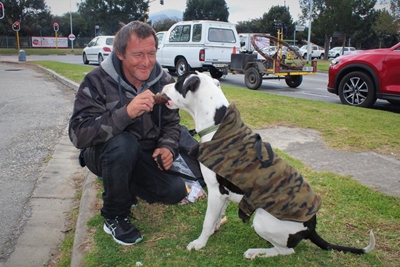 Haman en sy hondekind