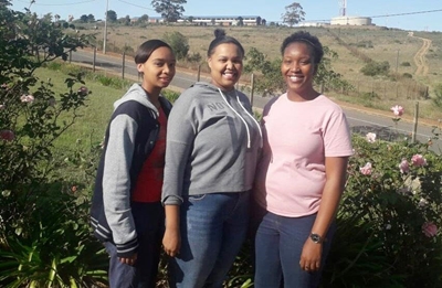 Students get a glimpse of world of work