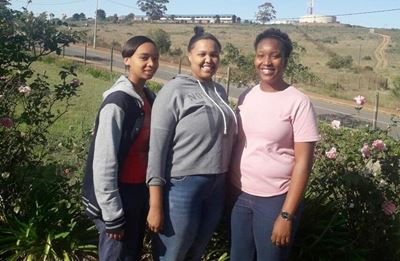 Students get a glimpse of world of work