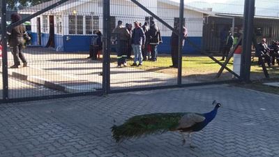 Bus drivers also on strike