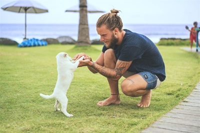 Dogs on beaches detrimental to Blue Flag status