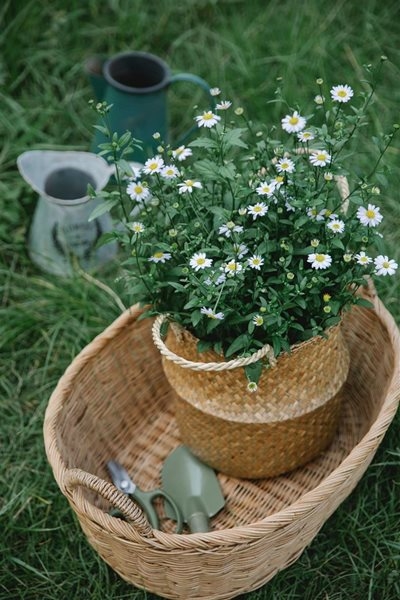 Celebrate Garden Day on Sunday