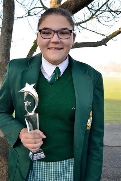 Hoërskool Langenhoven visuele kunste