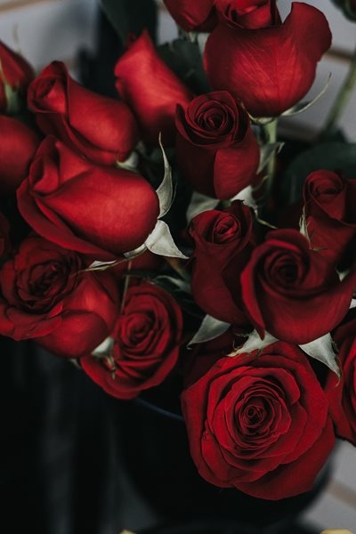 Celebrate love at Aalwynhof