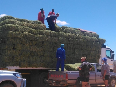 Suid-Kaap help boere