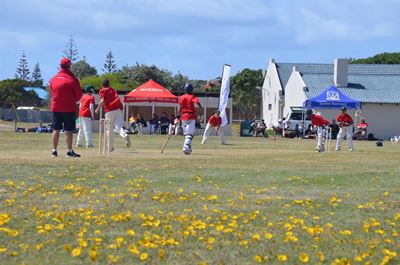 Krieketfees by Laerskool Bertie Barnard