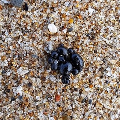 Update : Beach contamination, Mossel Bay and surrounding beaches