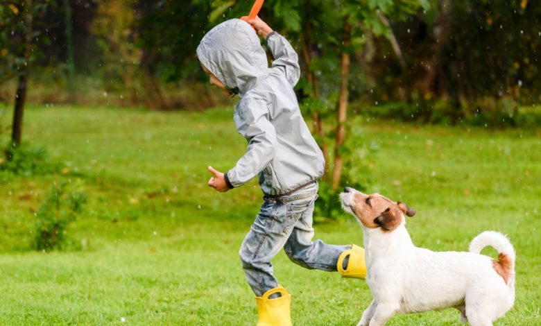 why is it good for a child to have a dog