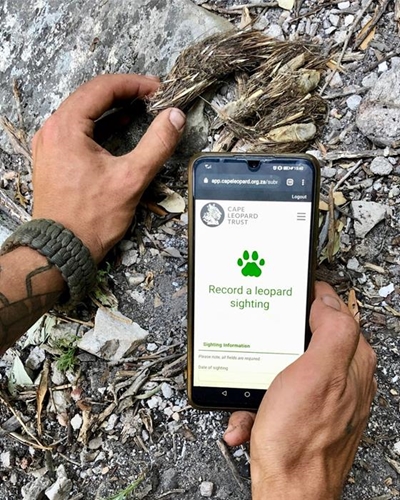 A Leopard - Spot, Snap and Submit!