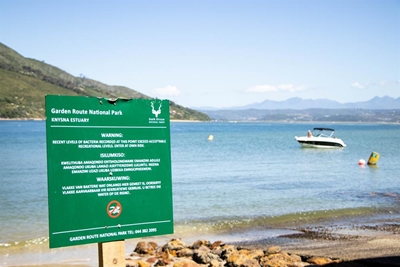Swimming at East Head allowed again