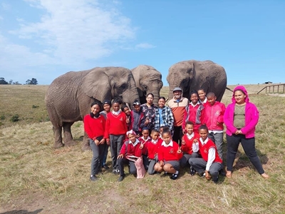 Eco Club embarks on elephant adventures