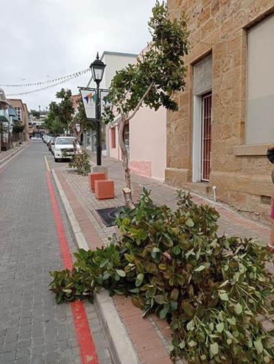 Shock follows vandalism in Cuff Street