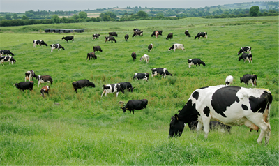 Free State Agriculture promises to listen to farmers’ needs