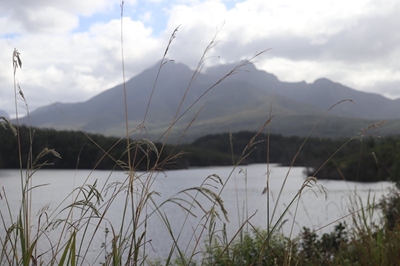 Garden Route Dam level update 