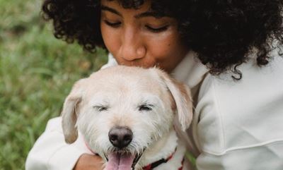 Could your pet have a food allergy?