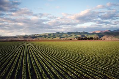 Government offers farmers support through input vouchers