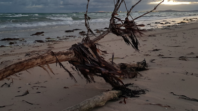False Bay beaches feared to be a dumping site for dead bodies