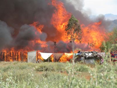 Brand rig groot skade aan