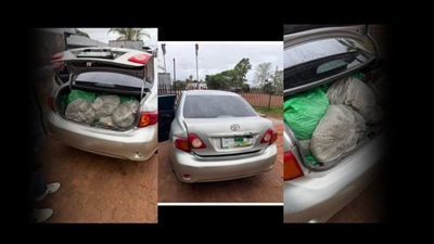 Mpumalanga police seize 93.6?kg of dagga, man expected in court