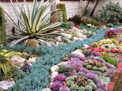 Landscaping guidelines