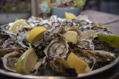 Oyster Festival takes Knysna by storm
