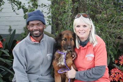 Verlore hond in Swartbergpas gered