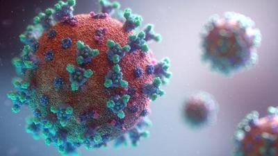 Big increase in Covid-19 cases in George