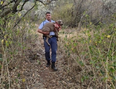 Hartbeespoort colonel climbs mountain to save dog