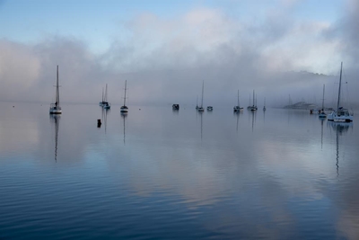 SAWS reveals what the fog is all about