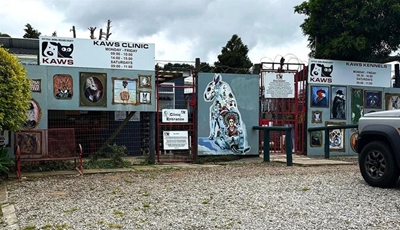 Kaws faces internal turmoil and legal challenge