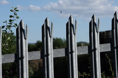 Knysna's last de-fence