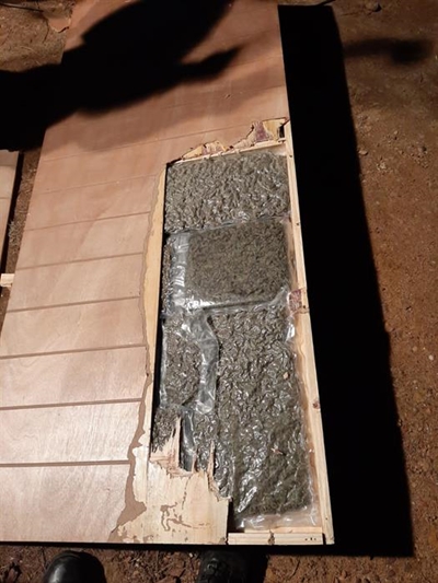 Cannabis bust, 4 arrests