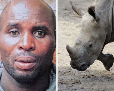 Cops snare one of SA’s most wanted rhino poaching suspects