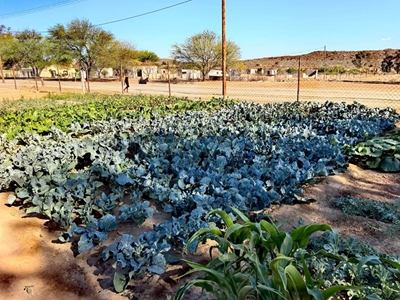 Departement loof Flinkvingers Vrouegroep vir hul werk in Jansenville