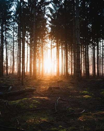 Green industries can open new possibilities for development