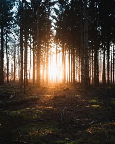 Green industries can open new possibilities for development