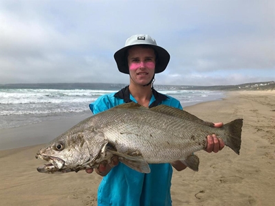 Plett jongeling seevier op Kleinkrans