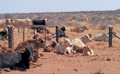 ‘Civil servants lax to assist drought-stricken farmers’