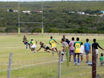 Seagulls warm op vir seisoen