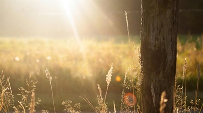 Weather on Monday: Fine and cool with clear skies